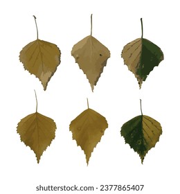 Set. A dry leaf. Birch leaf. Autumn leaves. Vector illustration
