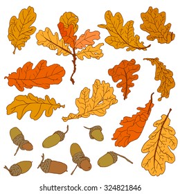 Set of dry oak leaves in sketch style. Hand drawn artwork. Collection of nature elements for autumn design. Vector illustration.