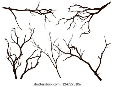 Set of dry tree branch silhouette, isolated on white background