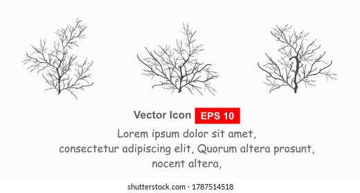 Set of dry tree branch silhouette, isolated on white background