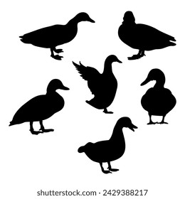 set of duck birds silhouettes vector illustration.