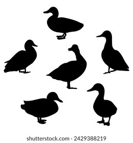 set of duck birds silhouettes vector illustration.
