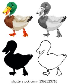 Set of duck character illustration