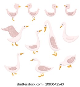 Set of duck and duckling. Yellow little duck. Cute vector illustration in simple hand-drawn cartoon style. Cute cartoon goose and gosling. Character bird with texture.
