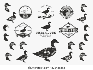 Set of duck logo. Duck cuts diagram