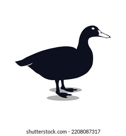 Set of Duck Silhouette collection vector illustration, duck cartoon, duck vector, duck icon