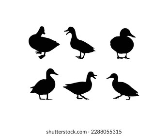 Conjunto de ilustraciones vectoriales de la colección de silueta de pato de pato negro.Siluetas de patos silvestres y domésticos de diseño simple vectorial de diseño de icono.Vector de silueta negra de pato sobre un fondo blanco.