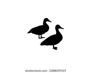 Set of Duck Silhouette collection vector illustration.simple icon design template vector.Duck in flight, silhouette of goose, duck, set, Real  .silhouette vector on a white background.