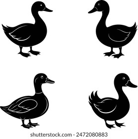 Set of Duck Silhouette collection vector illustration.Silhouettes of wild and domestic duck