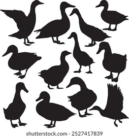 Set of Duck Silhouette collection vector illustration. Silhouettes of wild and domestic duck simple icon design template vector. Duck black silhouette vector on a white background.