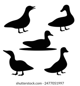 Set of duck silhouette on white background