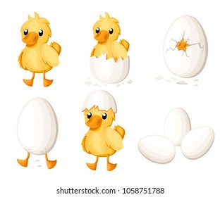 Set of duckling hatch from the egg. Cute duckling in cartoon style. Vector illustration isolated on white background. Website page and mobile app design.