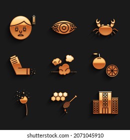 Set Dust, Honeycomb with honey dipper, Medical hospital building, Orange fruit, Flower producing pollen, Inhaler, Crab and Fatigue icon. Vector