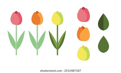 Set of Dutch tulips isolated vector illustration