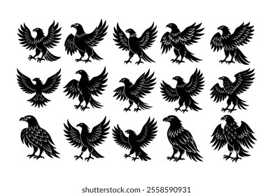 Set of eagle bird silhouette illustration