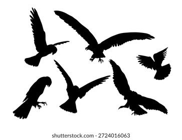 Conjunto de siluetas de aves águila. Pájaros volando y sentados. dibujo a mano. No la IA. Ilustración vectorial.