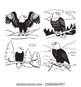 Set of Eagle birds animal 