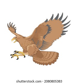 Set of Eagle flying, Eagle flying, falcon, isolated on white vector illustration. 