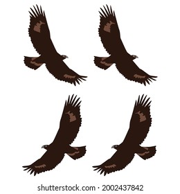 Set of the eagle an outline for colouring with cartoon eyes