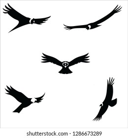 Set of eagle silhouette logo or any project
