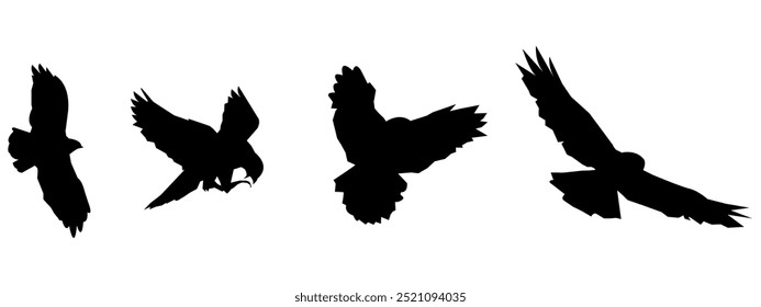 Set of eagle silhouettes, isolated on white background, suitable for illustration, design.