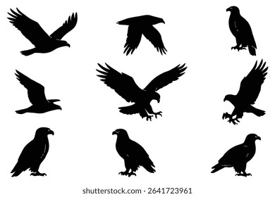Set of Eagle Silhouettes Majestic Bird Vector in Dynamic Poses