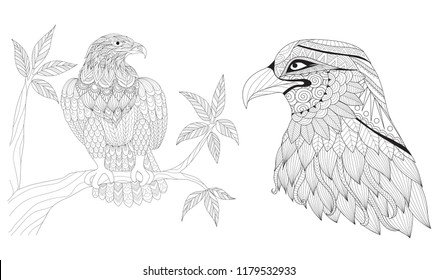 Set of eagles for coloring Book page  for adults. Colouring pictures for anti stress,freehand sketch drawing with doodle and zentangle style. Vector illustration