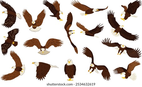 set of eagles in flat style, vector