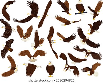 set of eagles flying and soaring in flat style, vector