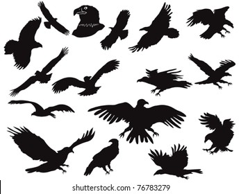 42,030 Hawk silhouette Images, Stock Photos & Vectors | Shutterstock