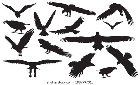 Adlersilhouette einzeln auf weißem Hintergrund