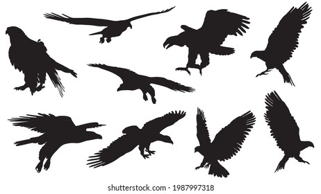 set of eagles silhouette isolated on white background