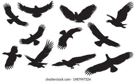 set of eagles silhouette isolated on white background