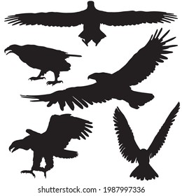 set of eagles silhouette isolated on white background