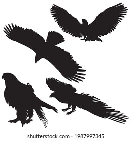 set of eagles silhouette isolated on white background