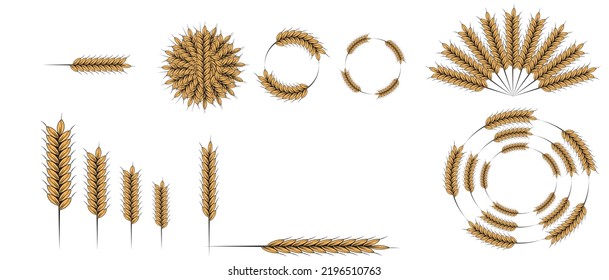 set of Ear of paddy rice isolated on white background. logo design Icon vector illustration.Ear of wheat  isolated on white background.