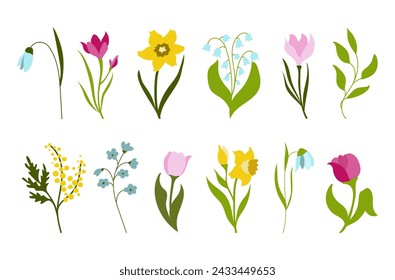 Set  early spring forest and garden flowers isolated on a white background.