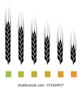 set of ears of cereals culture