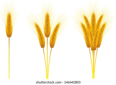 Set of ears of wheat