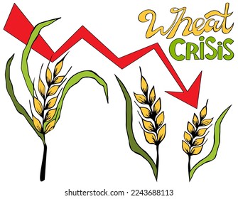 Set ears of wheat, barley with leaves. crisis and crop failure. Global food inflation and hunger. The problem of food insecurity in the world. Price growth for wheat seeds on the chart.