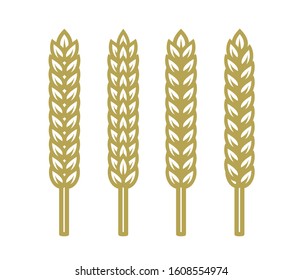 Set of ears of wheat, barley or rye.  Vector illustration isolated on white background.