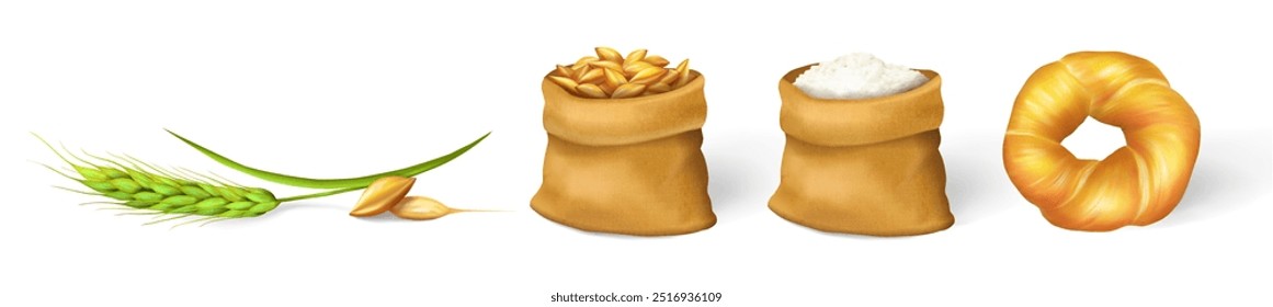 Conjunto de espigas de trigo, granos, sacos de grano y harina sobre un fondo blanco. Ilustración vectorial