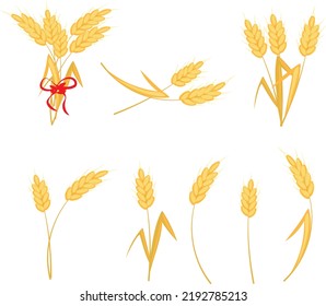 Set of ears of wheat. Sheaf of wheat. High quality vector illustration.