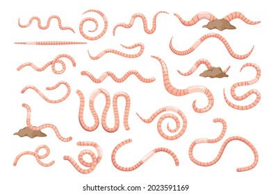 Set of Earth Worms, Soil Earthworms, Caterpillar Insects. Nature Wildlife Creature, Garden Invertebrate Worms of Different Shapes Isolated on White Background. Cartoon Vector Illustration