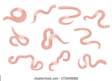 Set of earthworm crawling cartoon worm design flat vector illustration isolated on white background