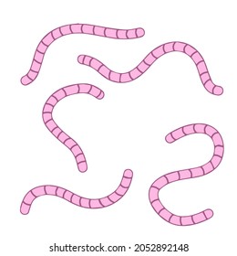 Set of earthworms. Cartoon flat illustration. Crawling insects. Pink worm. Small slimy, long animal. Isolated Fishing bait