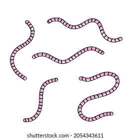Set of earthworms. Cartoon flat illustration. Crawling insects. Pink worm. Small slimy, long animal. Isolated Fishing bait