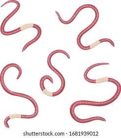 Set of earthworms. Crawling insects. Pink worm. Small, slimy, long animal. Isolated Fishing bait. Cartoon flat illustration