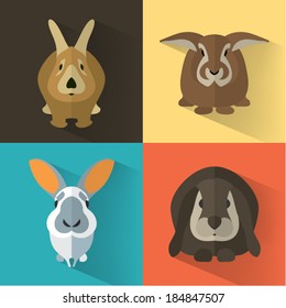 Set of Easter Bunnies / Animal Portrait / Flat design / Vector illustration