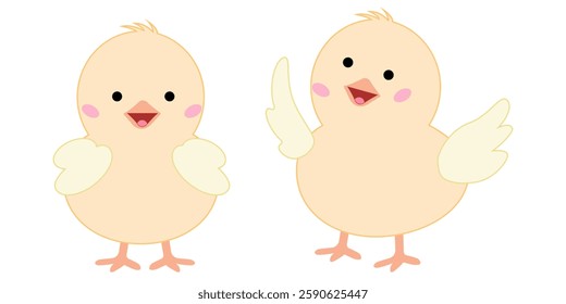 Set of easter characters chicks. Cute animals yellow color. Spring vector illustration isolated on white background
